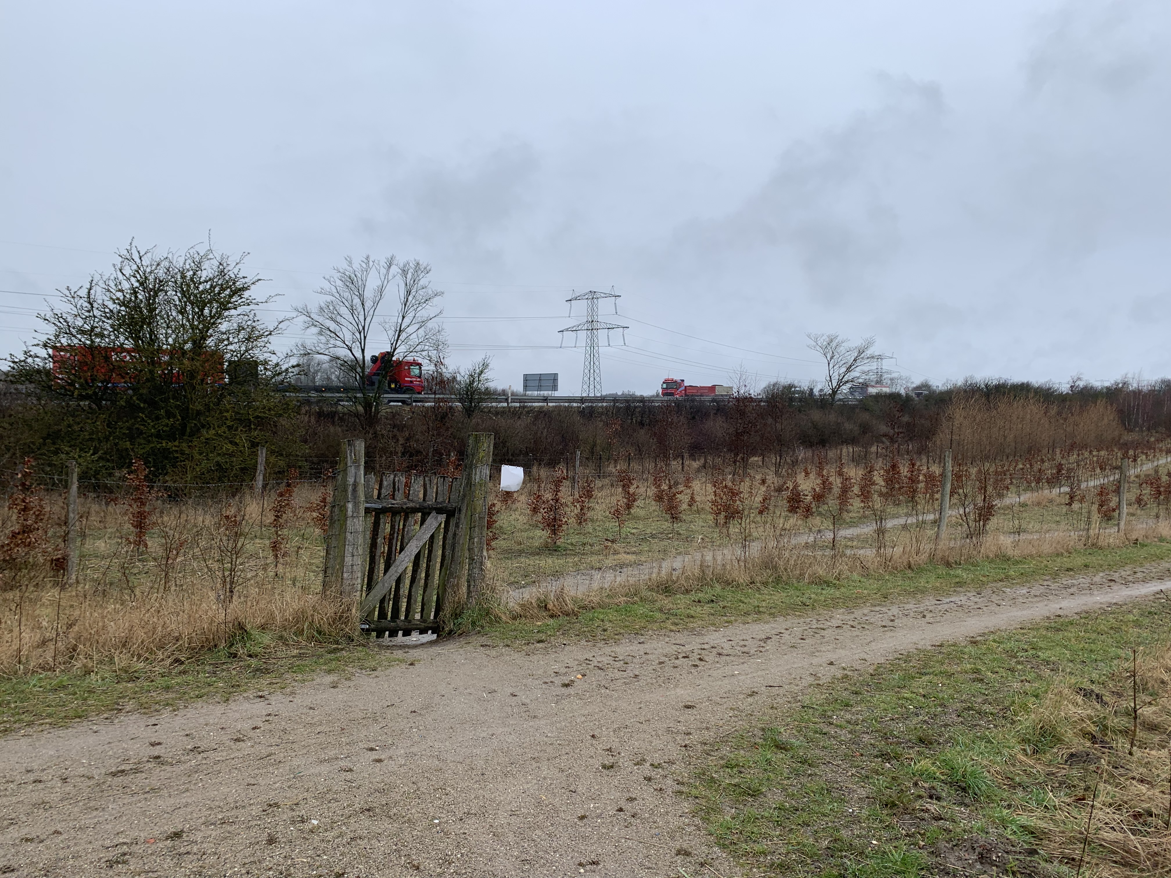 Oust Mølle Folkeskov