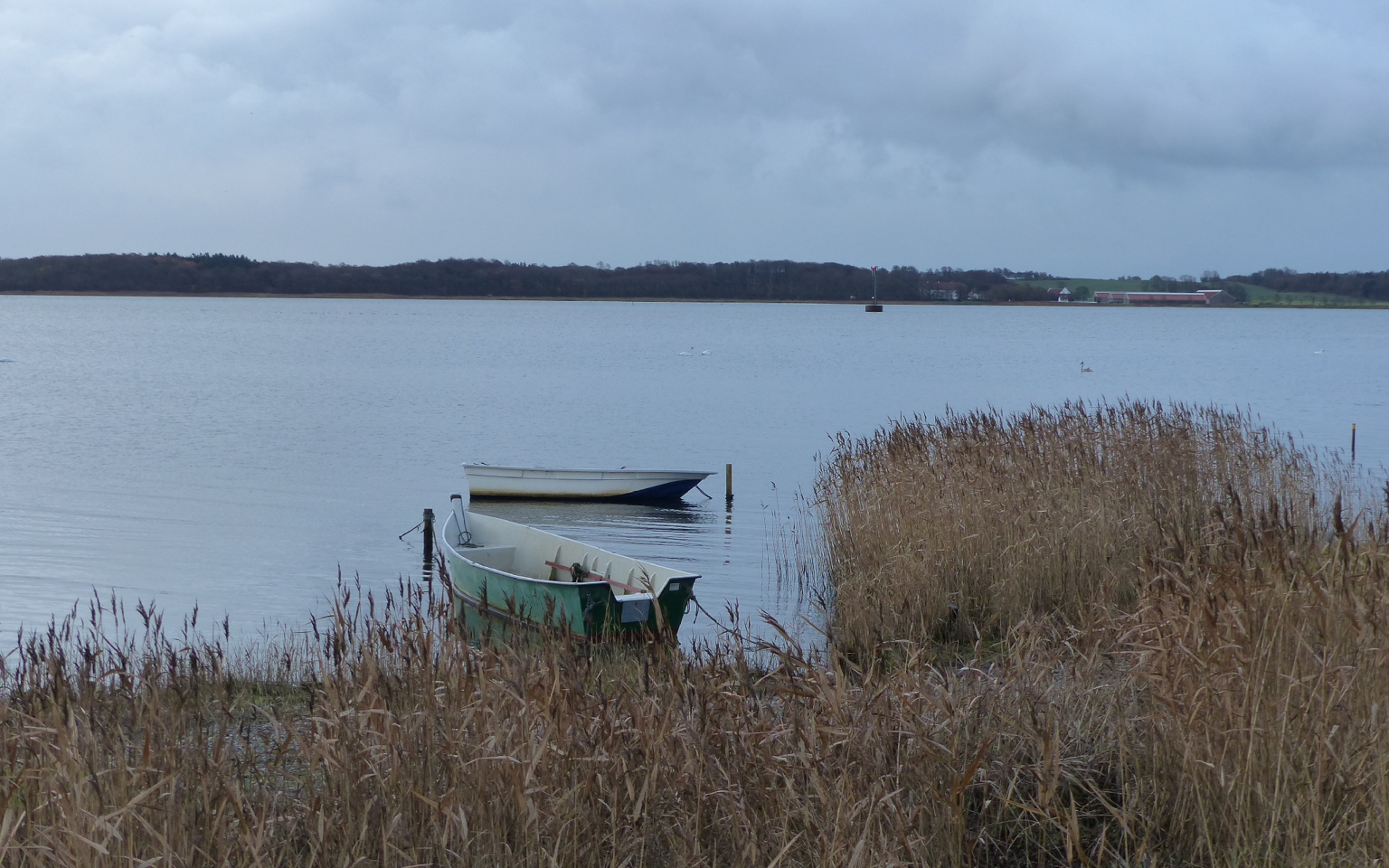 Tørring Kær