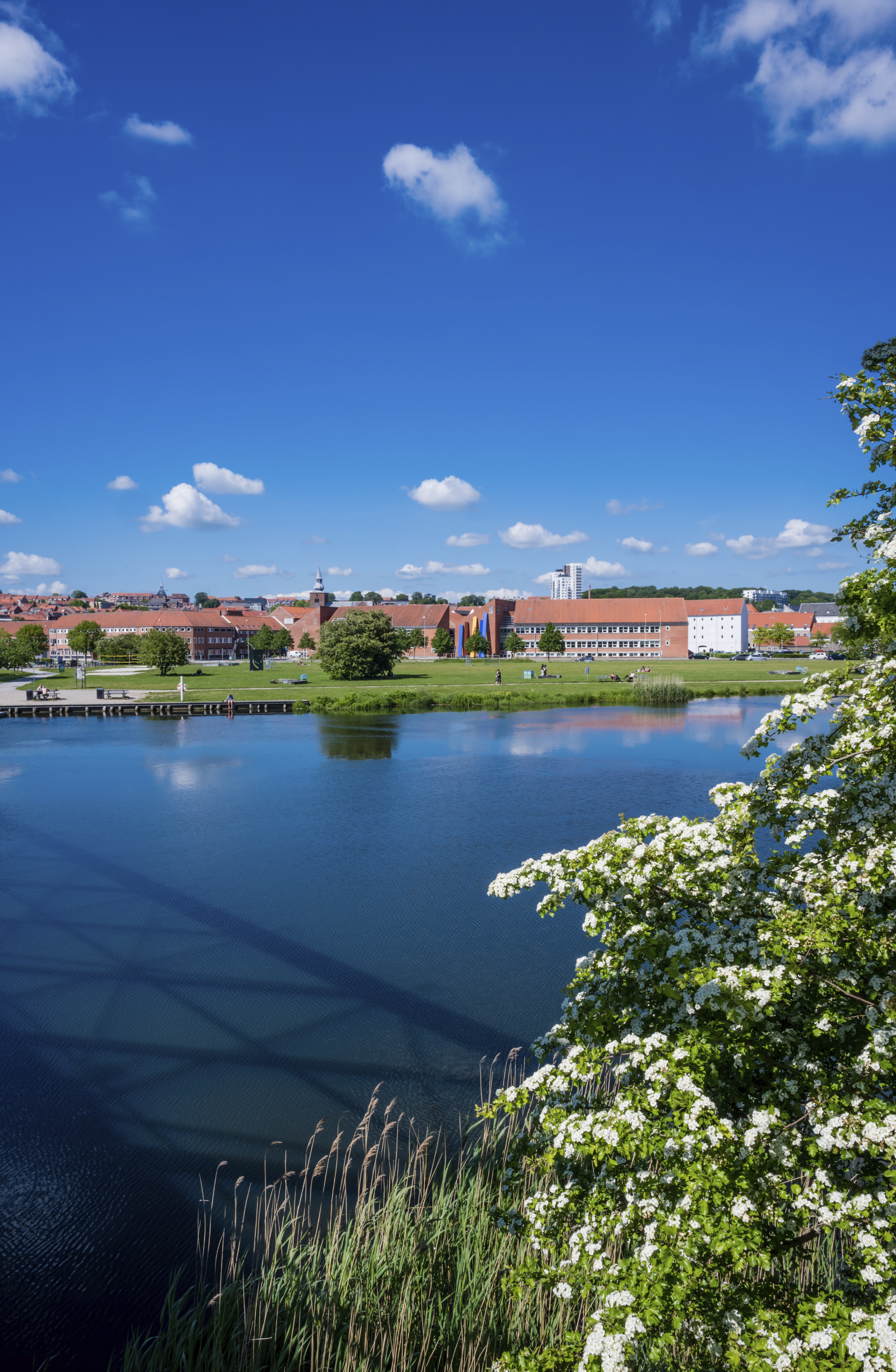 Laksetorvet Og Gudenåen