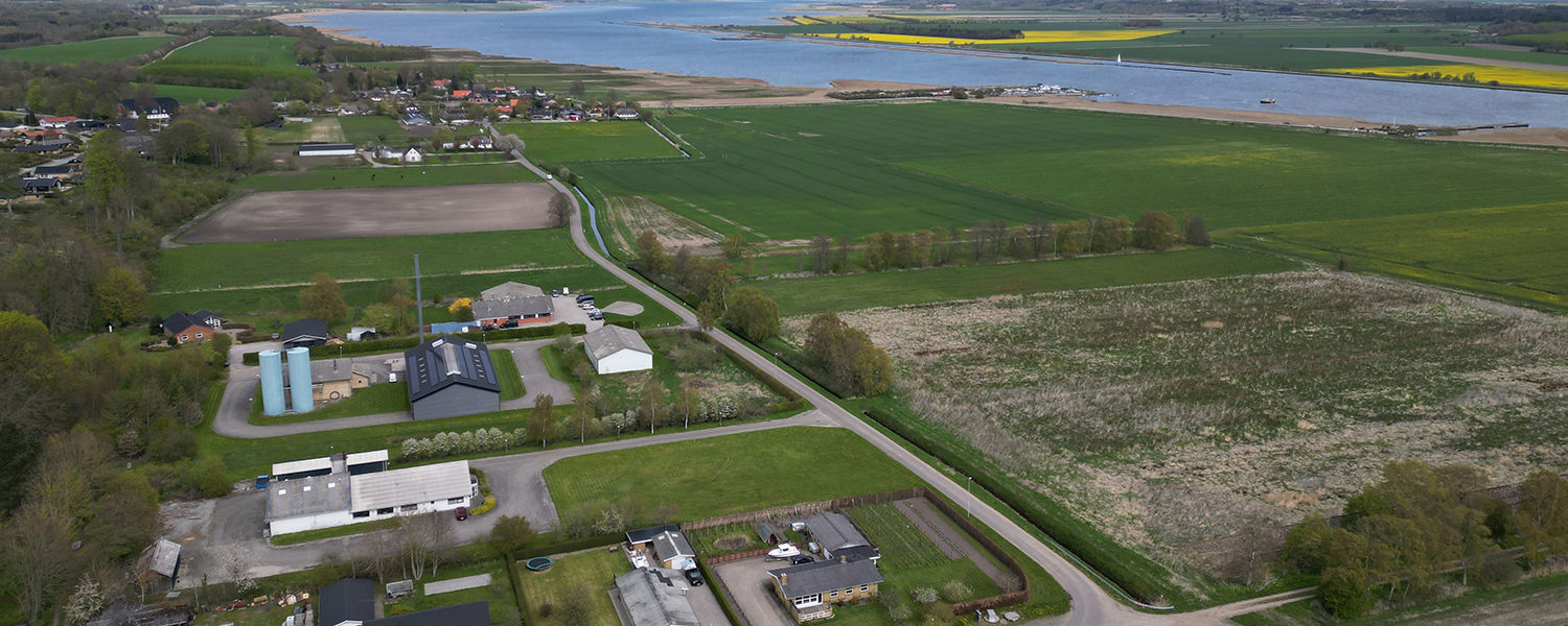 Dekorativ