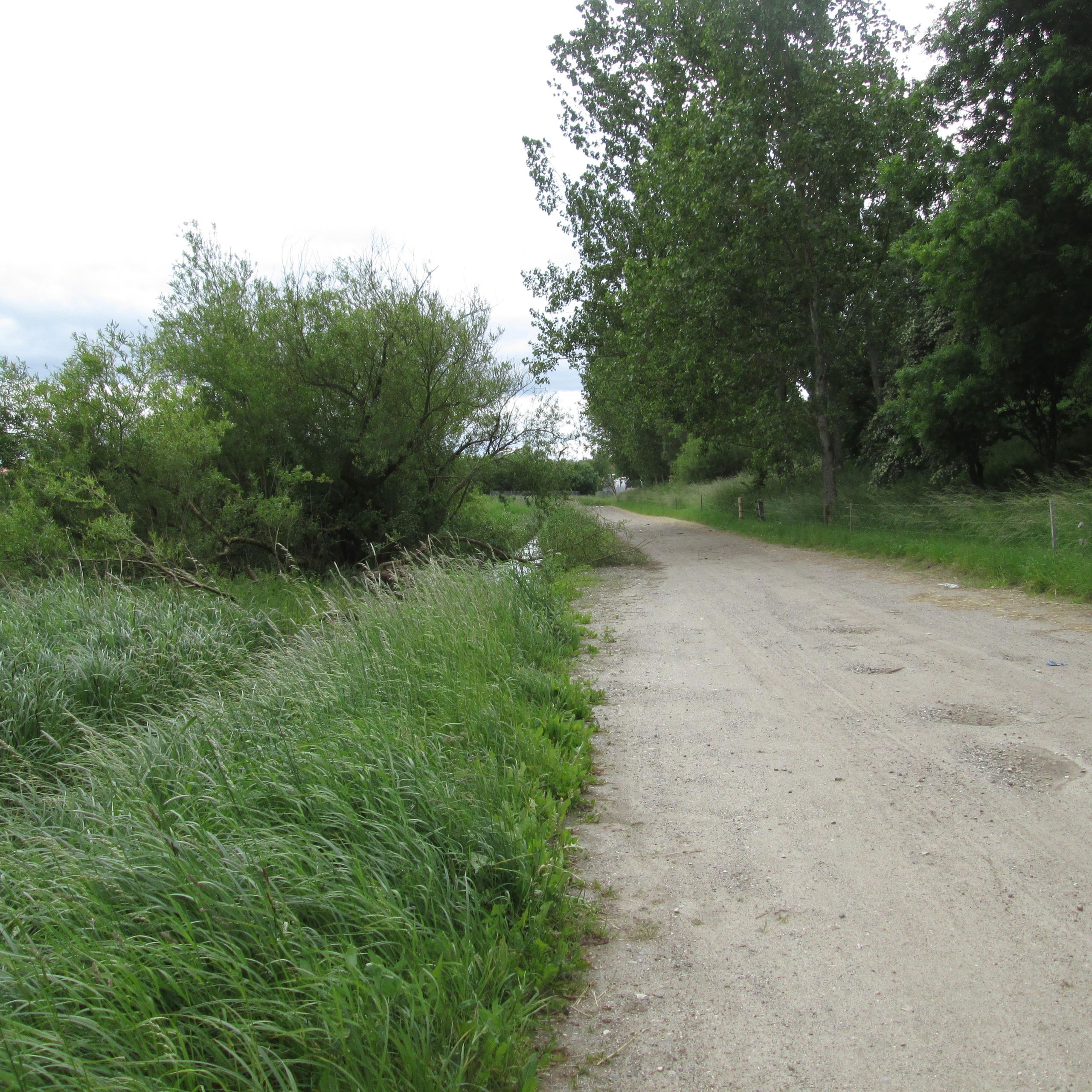 Skovholmen
