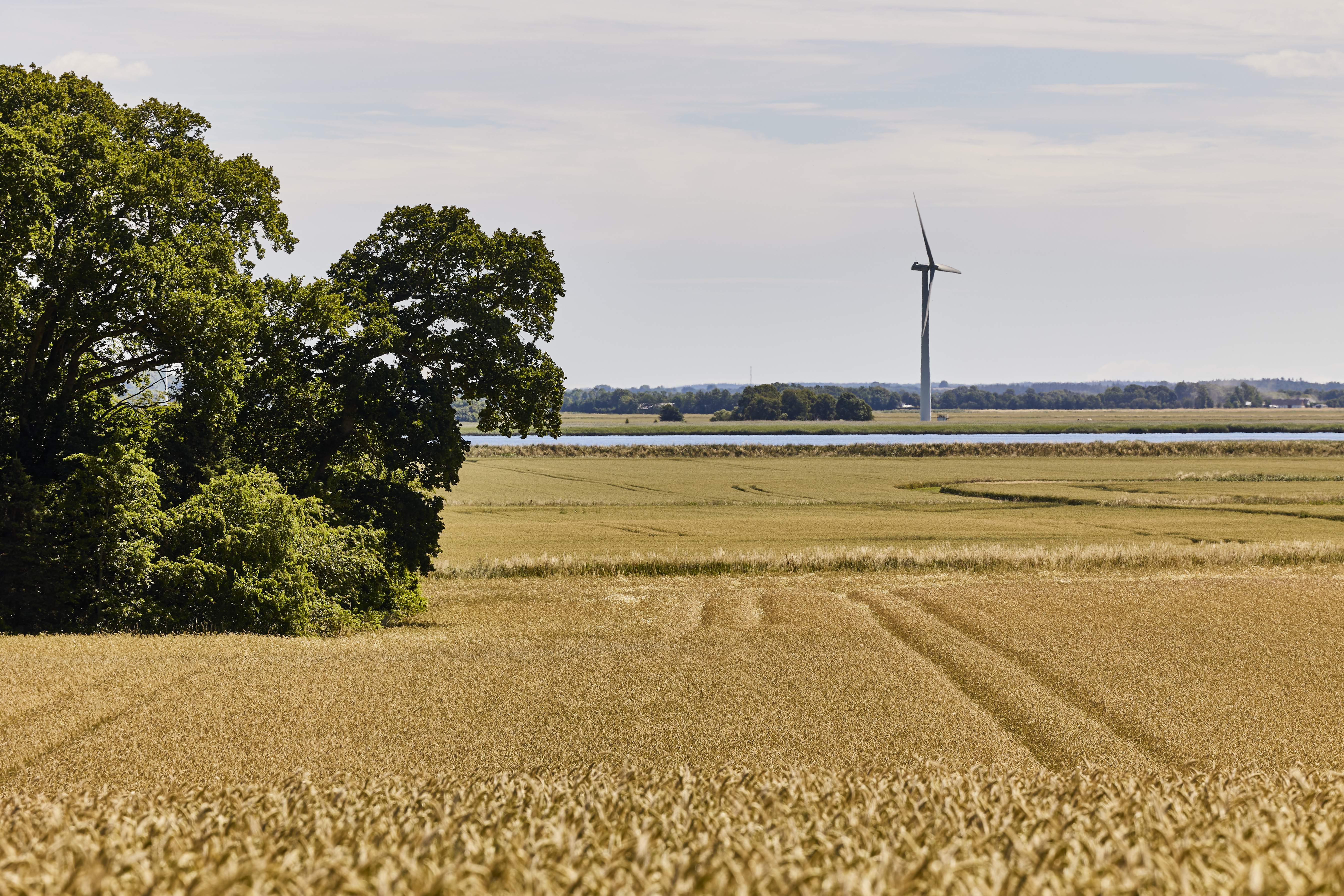 Dødislandskabet ved Støvring