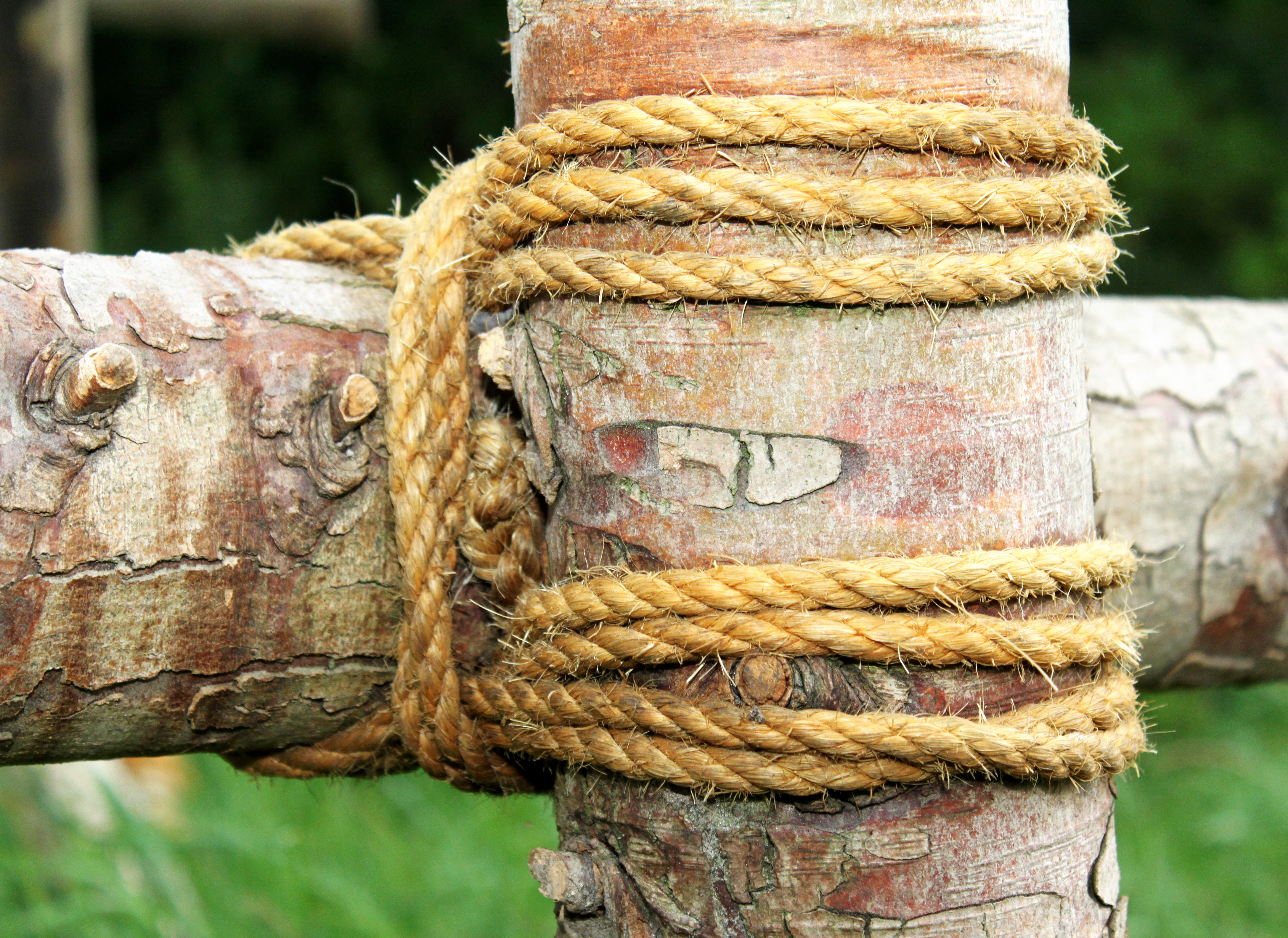 Rafter bundet sammen med reb