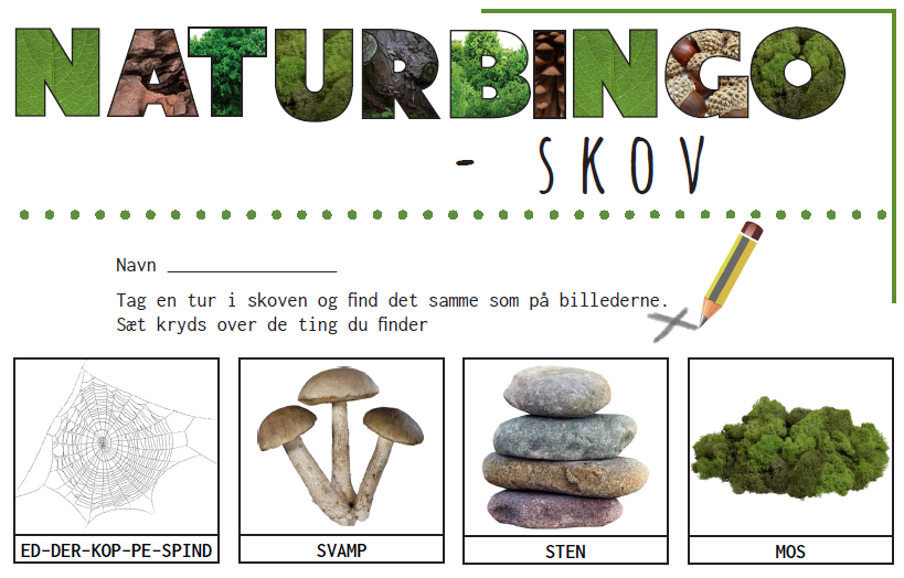 Naturbingo