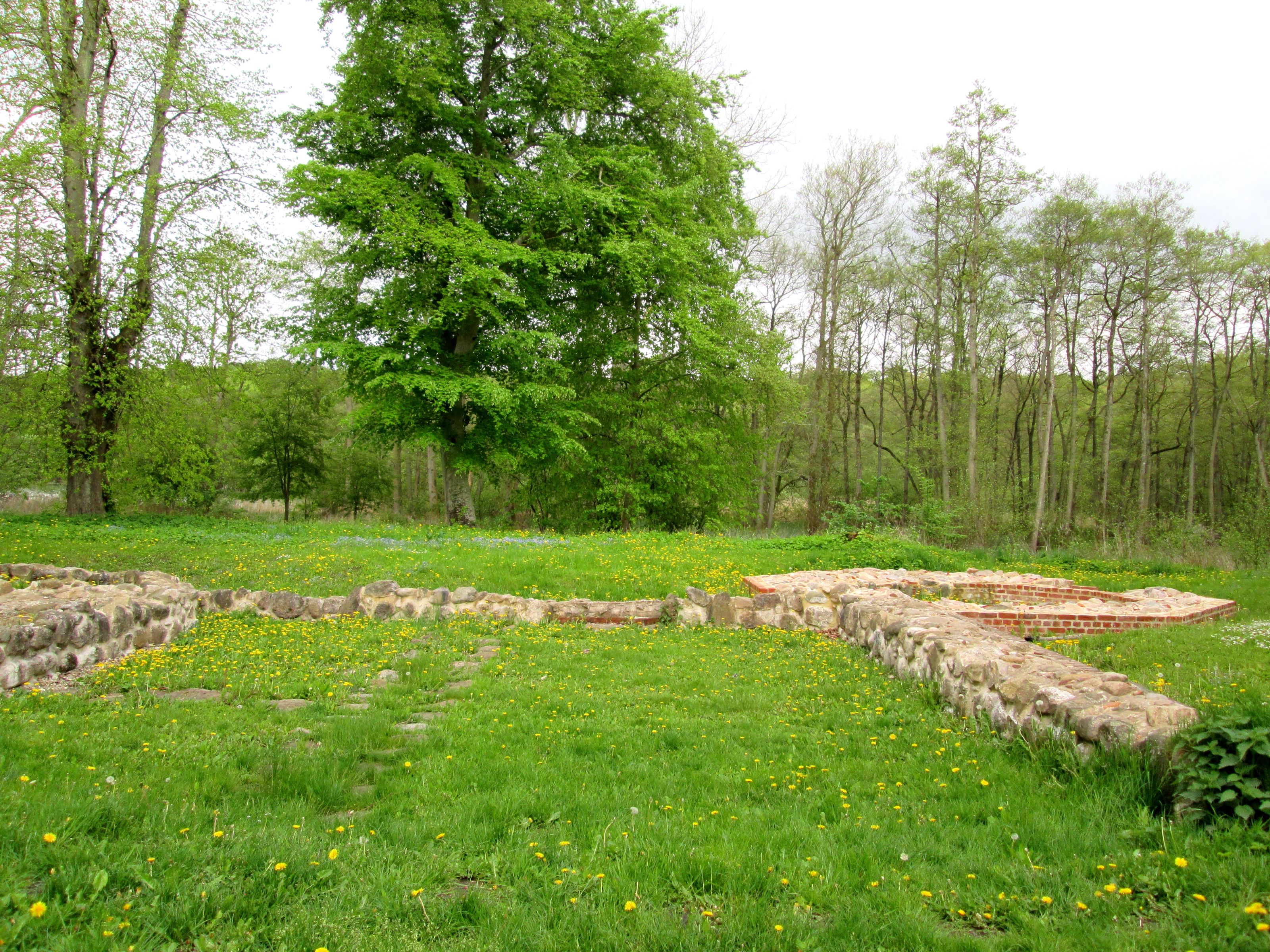 Fussingø Slotsruin