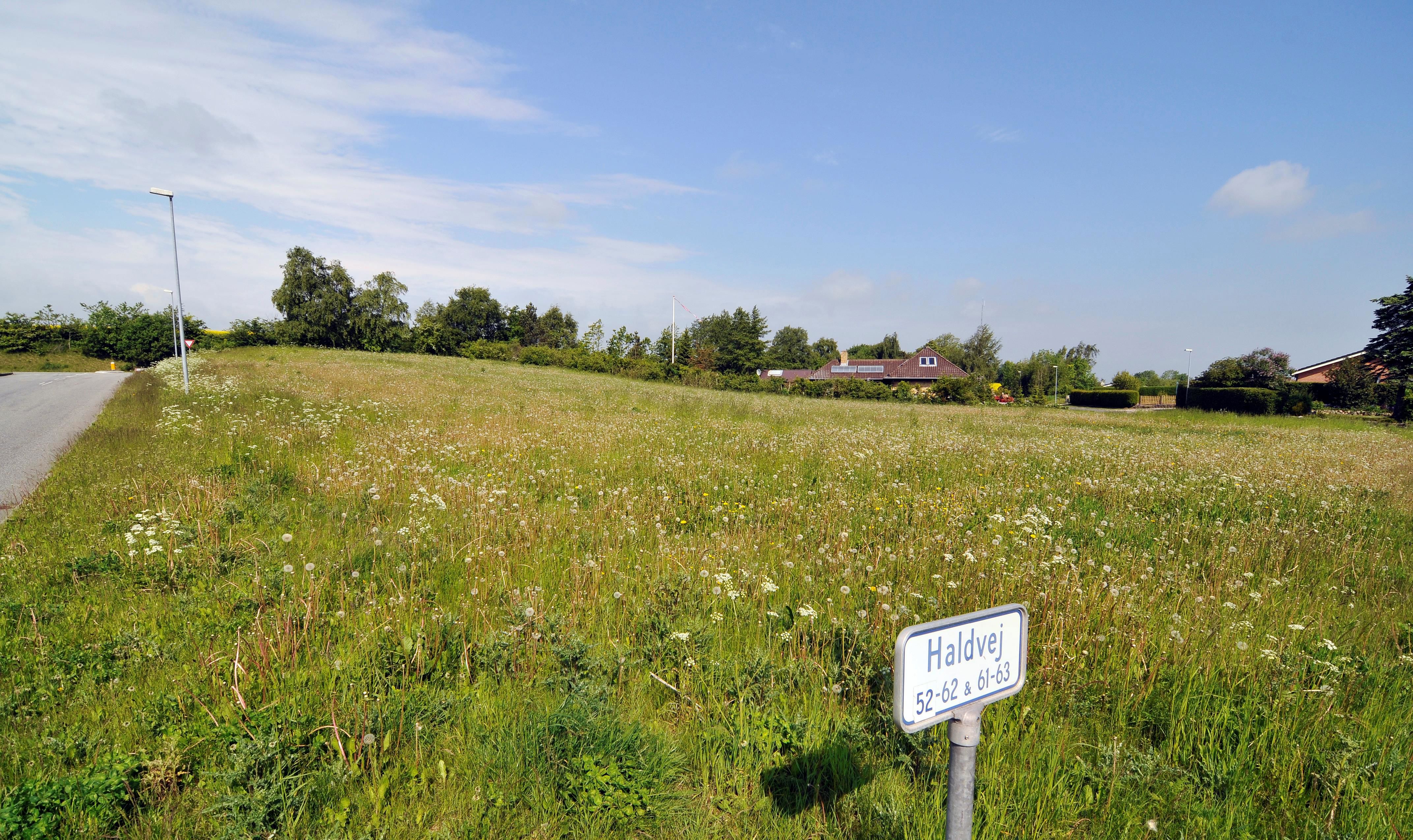 Haldvej 37A i Hald