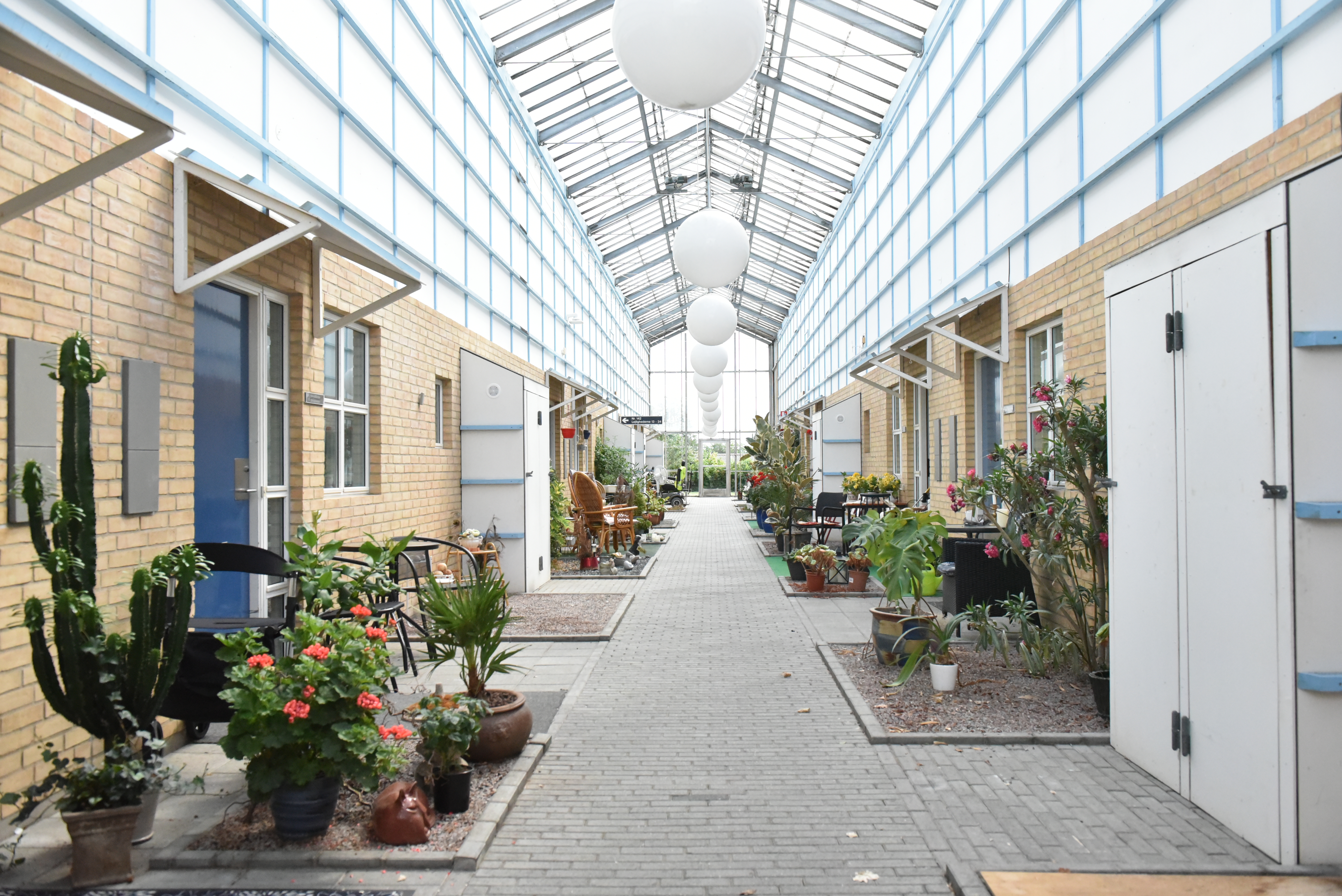 Gangareal på Borupvænget