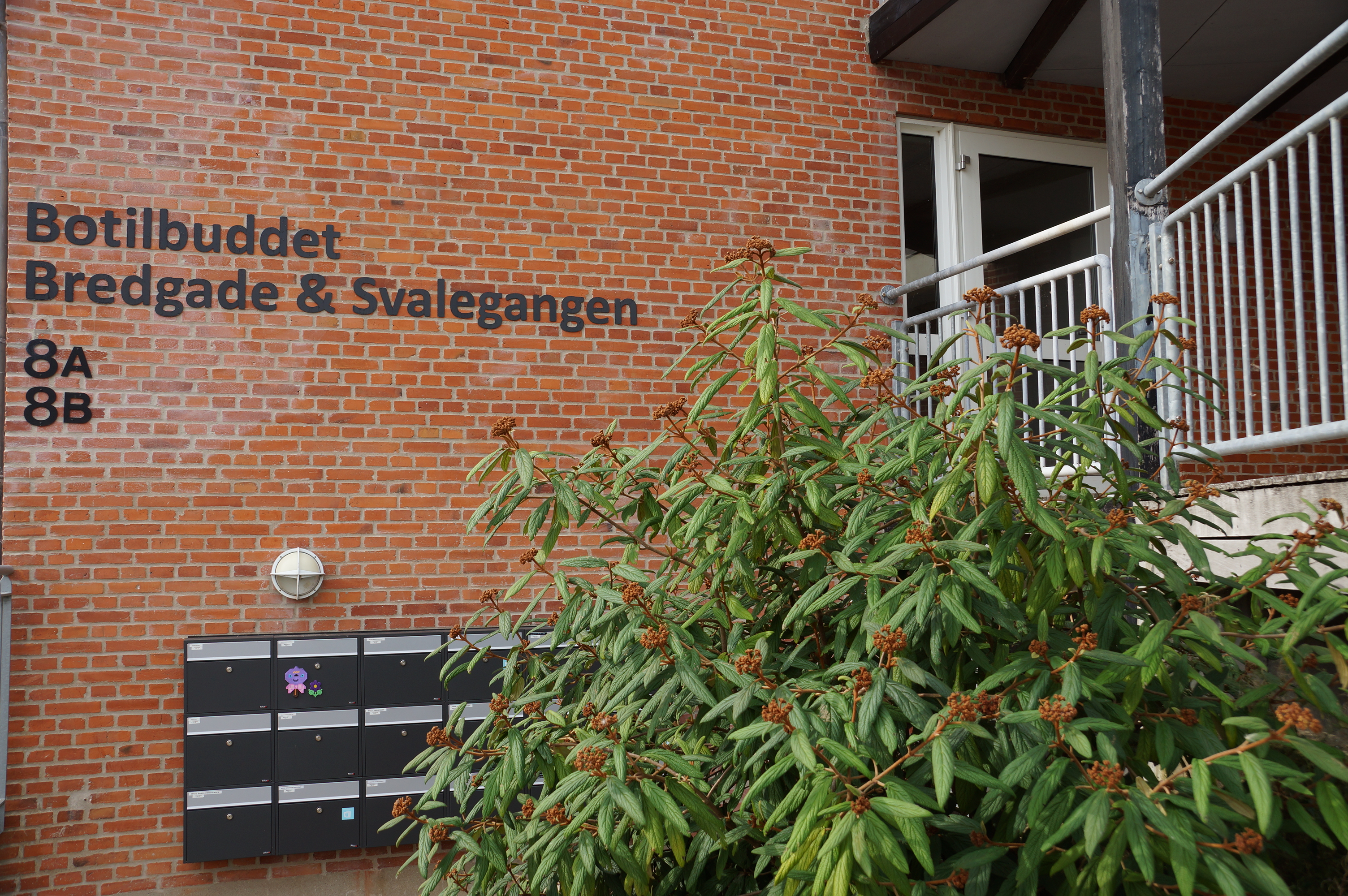 Indgang Botilbuddet Bredgade & Svalegangen