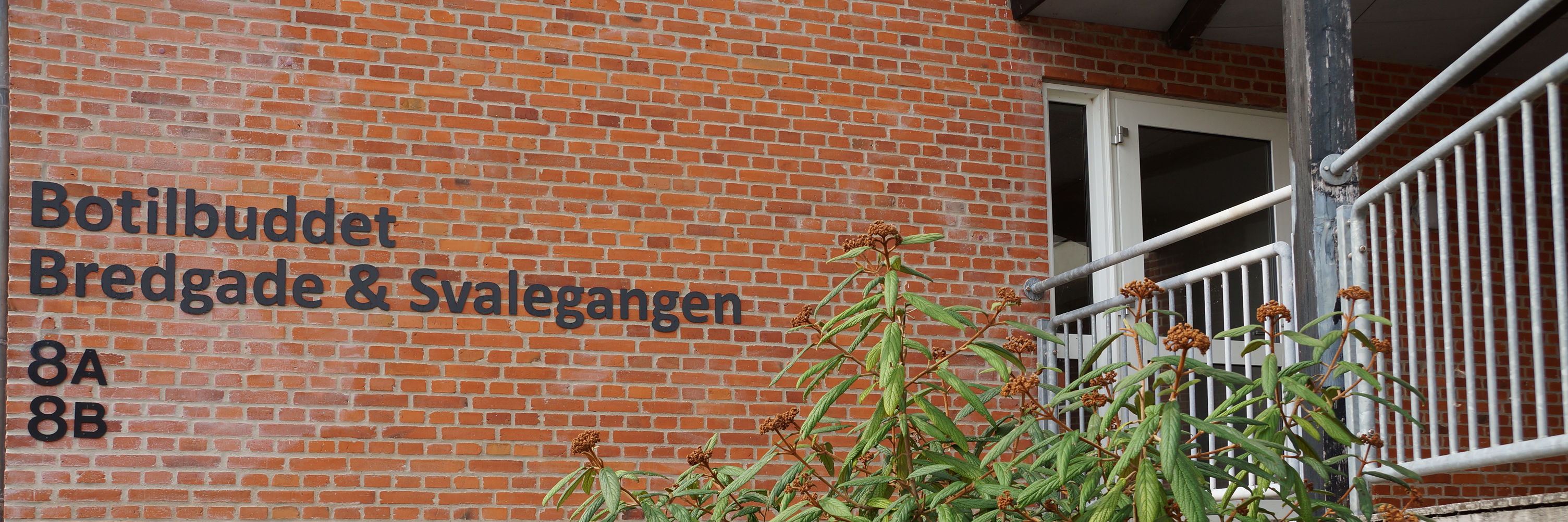 Indgang Botilbuddet Bredgade & Svalegangen