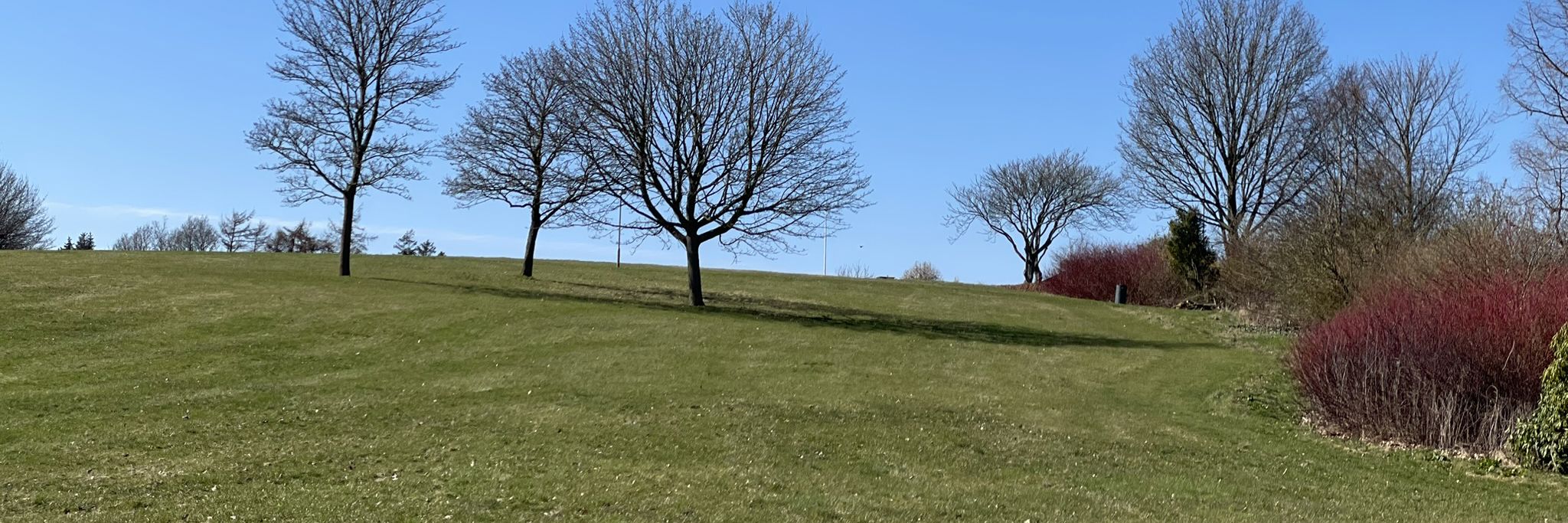 Foto fra Rismølleparken