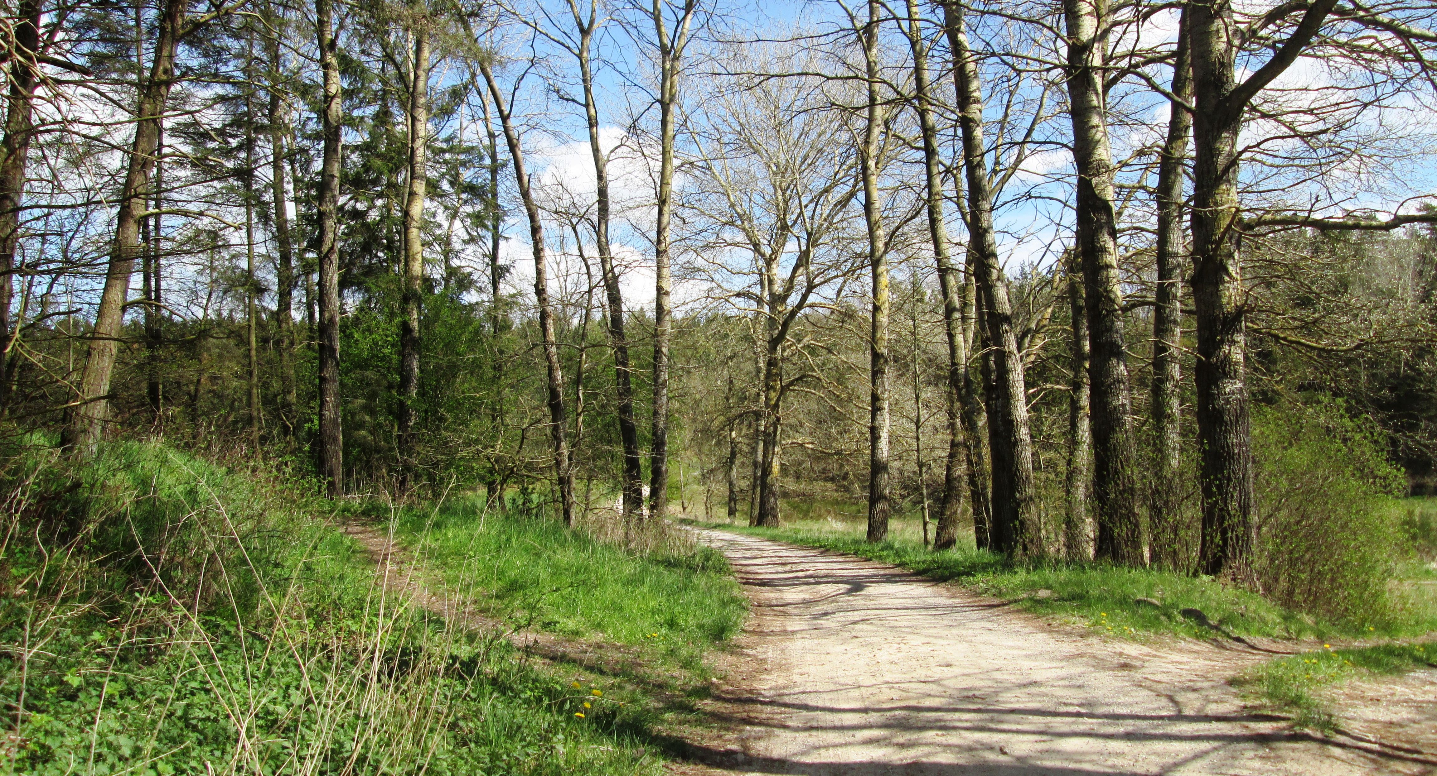 Natur ved Drastrup