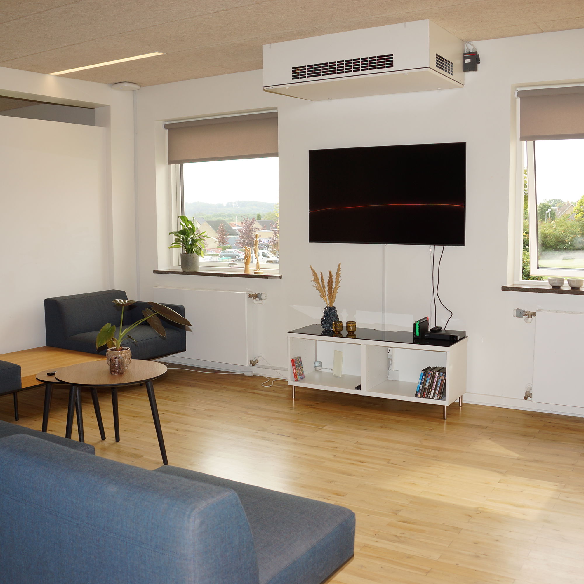 Fælles opholdsrum med sofa og tv i Botilbuddet Bredgade & Svalegangen